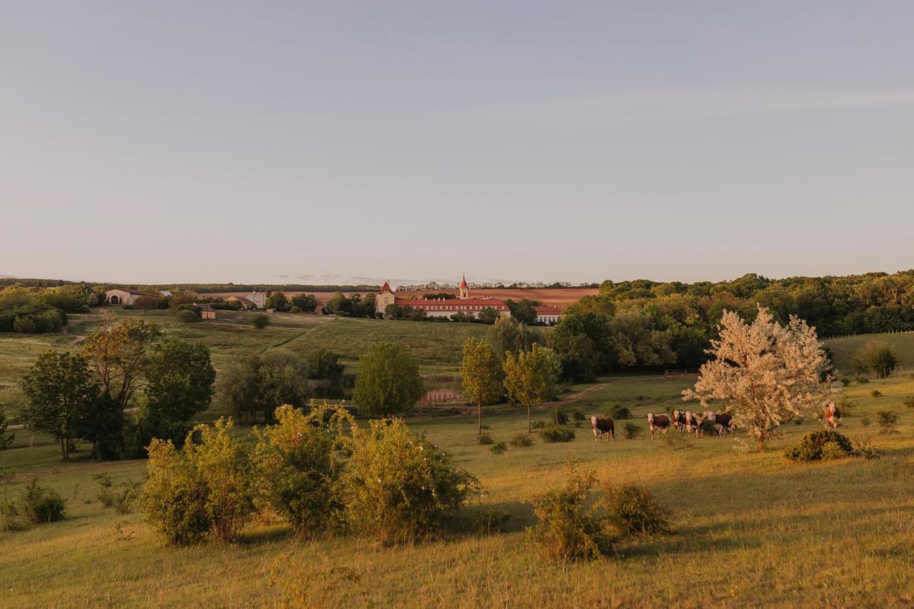 Hotel Chateau Bela Екстер'єр фото